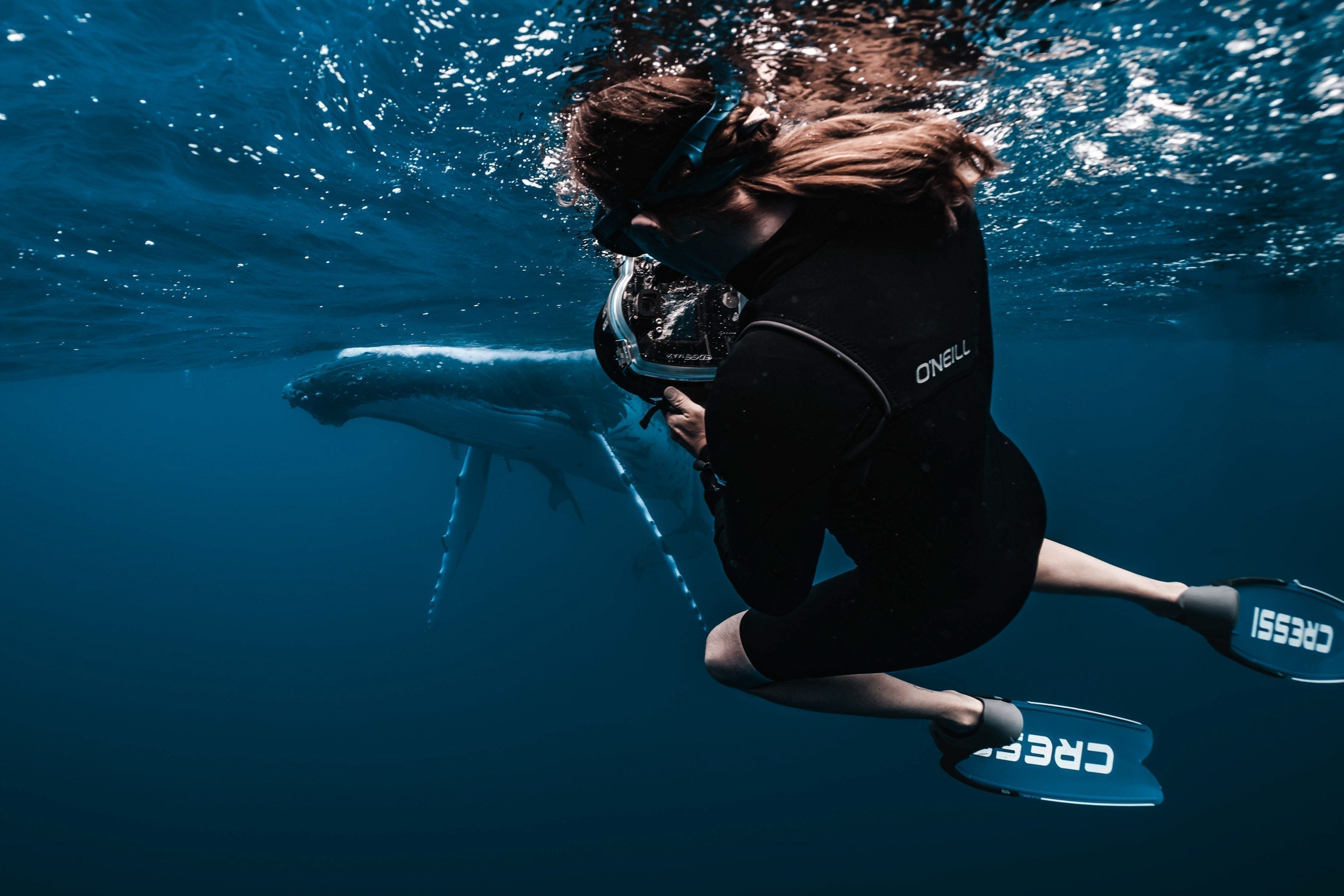 Swimming with whales