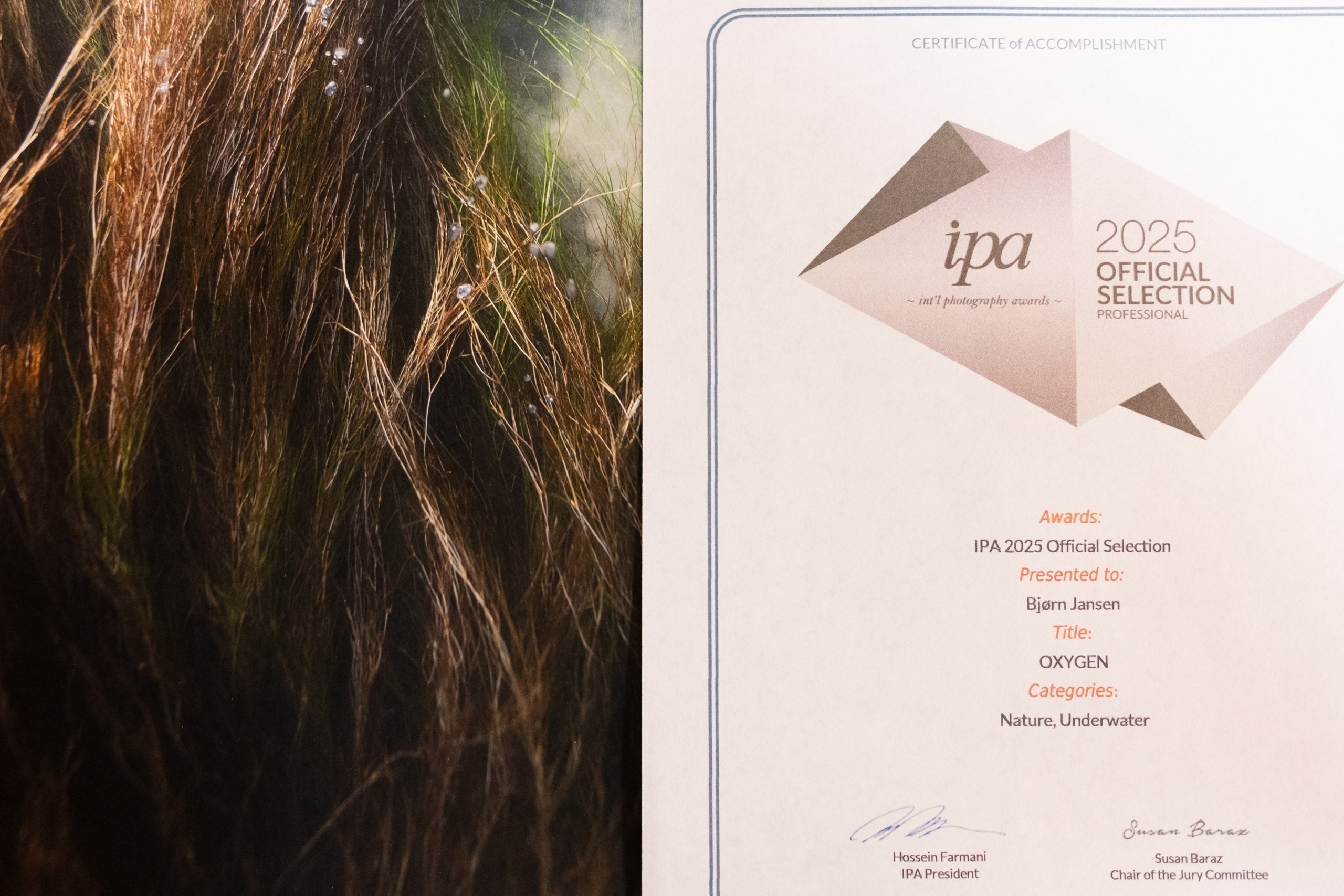 OXYGEN - Honorable Mention at the 2025 International Photography Awards